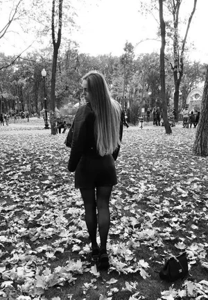 Basia